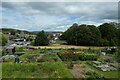 Allotments below Lon Llewelyn in LL16 3NP