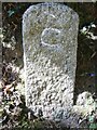 Old Boundary Marker in PL17 7PG