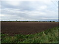 Flat farmland near Old River Farm in PE34 4DY