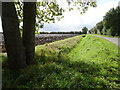 Drain beside Vicarage Drove in Bicker Gauntlet