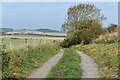 Wessex Ridgeway path on Etchilhampton Hill in SN10 3LD