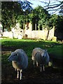 Church ruins, Arborfield in RG2 9EA