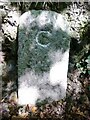 Old Boundary Marker in PL17 7NT