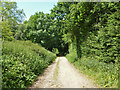 Bridleway running NW from Wall Hall in WD25 8BX