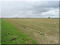 Stubble field off Hardwick Plot Lane in PE20 3HA