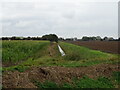 Drain off Old Hammond Beck Bank Road in PE20 1SR