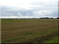 Stubble field off Fen Road in PE20 1SR