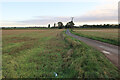 Stubble field by Nipcut Road in PE6 7TY