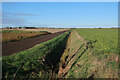 Ditch off Hundreds Road in PE6 0LD