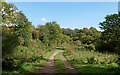 Track to Gorse Covert near Kidderminster, Worcestershire in DY11 6JH