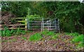 Kissing gate on public footpath adjacent to River Teme, near Stanford Bridge, Worcs in WR6 6UT