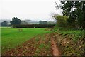 Public footpath passing through field adjacent to River Teme, near Stanford Bridge, Worcs in WR6 6UT