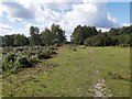Track on Ashdown Forest in TN22 3PJ