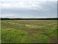 Stubble field, East Tanfield in HG4 5LN