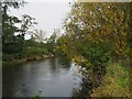 The River Churnet south of Rocester Bridge in ST14 5BP
