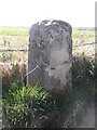 Old milestone in TD11 3JN