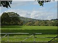 Field north of Halstock; Birts Hill in background in BA22 9RR