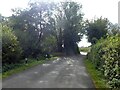 Stream bridge near Netherstoke in BA22 9RP