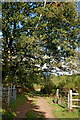 Track in the Rifle Range Nature Reserve near Kidderminster in DY11 6JH