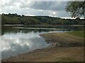 Sutton Bingham Reservoir looking south in Closworth