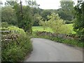 Roadside walls and fields by stream, east of Halstock in BA22 9SN