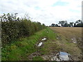 Stubble field and hedgerow off Moor Lane in DL8 2LJ