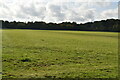 Large field near New Ash Green in DA3 8HA