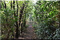 Enclosed, wooded footpath in DA3 8HA