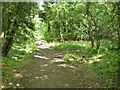 Path into old pit area in WD25 9DJ