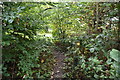 Footpath, Redlibbets Wood in DA3 8HA