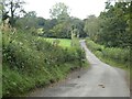 Road in the valley east of Halstock in BA22 9SN