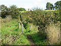 Public footpath near Godshill in PO38 3HT
