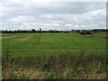 Stubble field, Sleningford in HG4 3FB