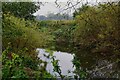 A glimpse of the River Teme, near Stanford Bridge, Worcs in WR6 6UT