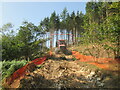 Temporary road for forestry clearance in YO18 7LW