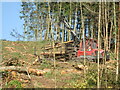Loading timber Dalby Forest in YO18 7LW