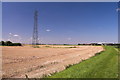 Fenland Landscape in PE15 0YY