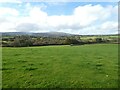 Field near West Withecombe and view to Cosden on Dartmoor in TQ13 8JY