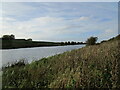 The River Witham above Stixwould Station in LN10 5HT
