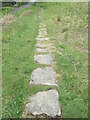 Stone Trod near Castleton in YO21 2EY