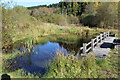 Middle pond, Fen Meadow, Parc Cwm Darran in Darran Valley Community