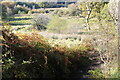 View across marshy ground to footbridge on cycleway in Darran Valley Community