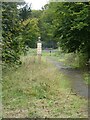 Overgrown path and unused gates, Kingston Lacy in BH21 4DZ
