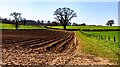 Furrowed field near Cadhay in EX11 1NJ