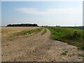 Farm track beside drain in PE20 1AP