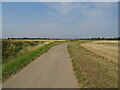 Coupledyke Lane towards Frampton in PE20 1AP