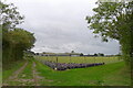 Pattocks Farm, Chappel in Great Tey