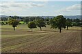 Arable farmland at Donnington in Donnington