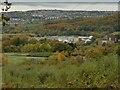 Esholt sewage works see from Spring Wood in BD17 7RB