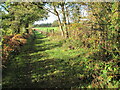 Footpath from Denmead Road to Vernons Farm in PO17 6BB